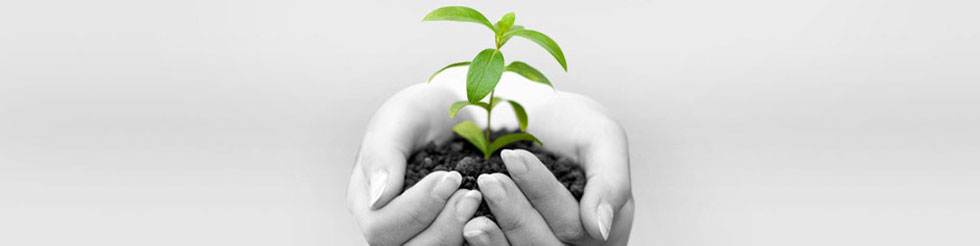 Social Commitments